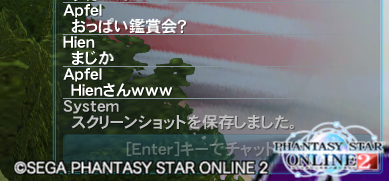 誤字と誤爆のバーゲンセール まったりpso2探索紀