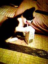 050731_0436~001.jpg