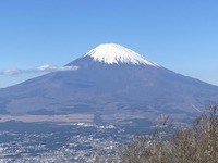 20211114-15金時山 (50)