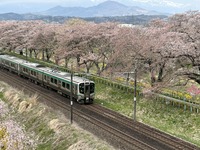 20230407柴田郡桜ツアー (15)