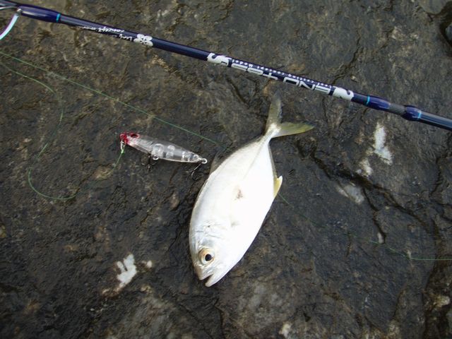 メッキ道へのお誘い ａｐｏ のつぶやき