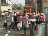 (7)おとな神輿