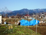 (3)トラクター小屋の損壊