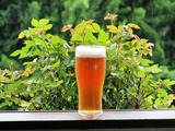 wheat beer