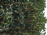 (15)10-01