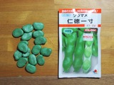 タキイの種