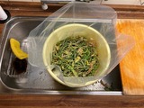 (9) 最後は大根の葉