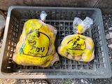 (2) キタアカリの種芋 4kg