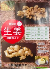 (1) 種生姜
