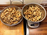 (5)塩茹で用 1563g