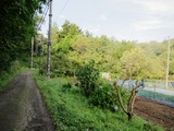 野良仕事場-3
