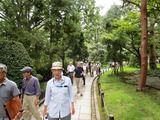 2県の木の小路