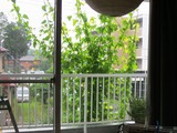 Gカーテン屋内から