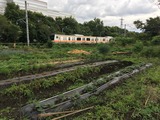 (3)五日市線の通過
