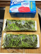 フリーズドキューブ