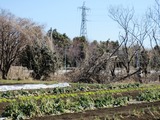 (2)雉の生息地
