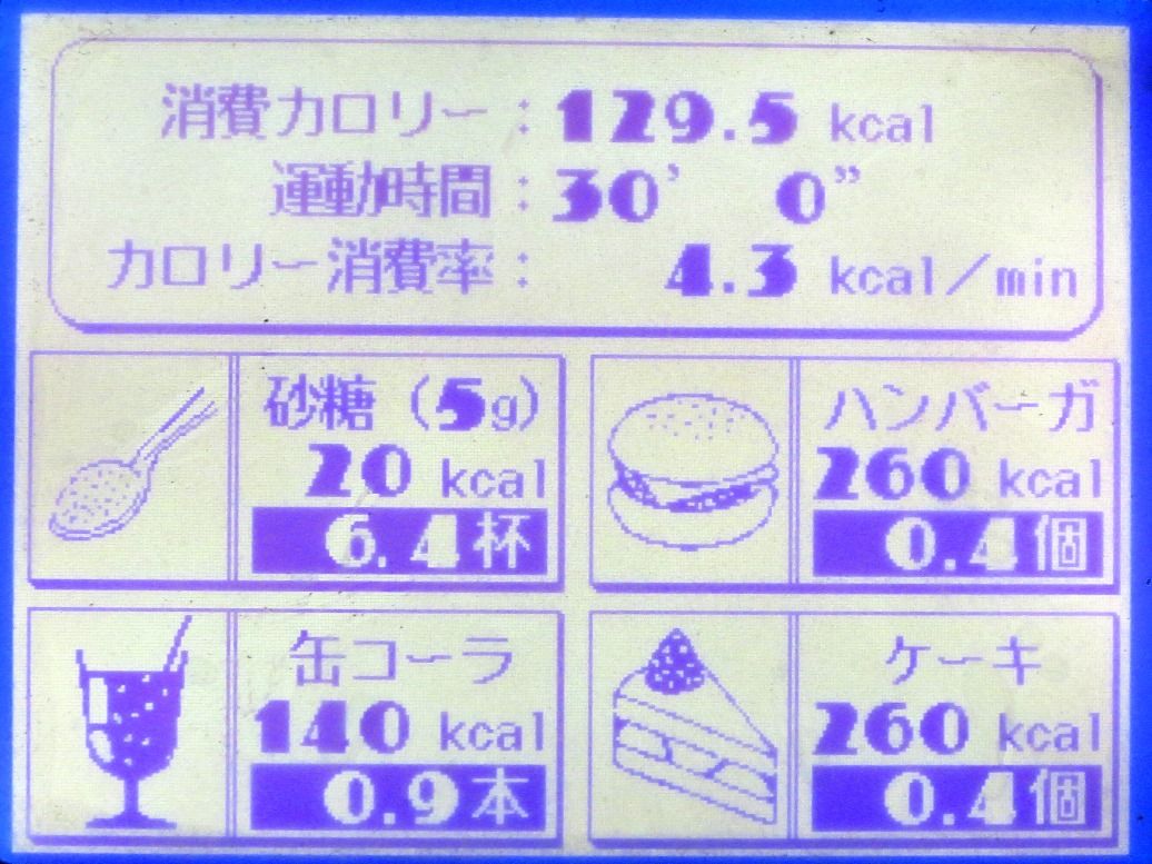 トレーニングプランの作成 楽しく自律するこれからの生き方 Apocワークスへようこそ