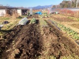 (2) 寒晒し 2023-01-20 10 01 41