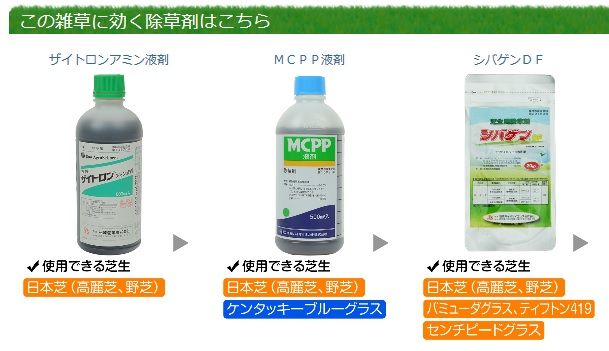 ツメクサが蔓延ってきた 楽しく自律するこれからの生き方 Apocワークスへようこそ ツメクサが蔓延ってきた 楽しく自律するこれからの生き方 Apocワークスへようこそ