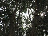 (8)空が見える