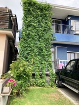 (1)