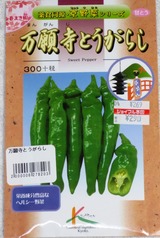万願寺とうがらし
