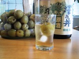 原酒の梅酒