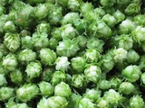 (3)収獲-2