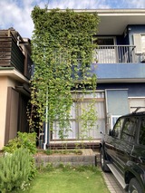 (1) 開始 2025-10-03 8 08 29