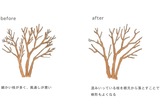 剪定方法-3