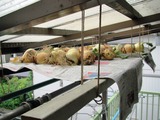 野菜ストッカー-2