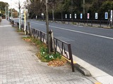 (1)BEFORE