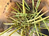 (4)のらぼう菜の種
