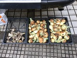 ニンニクと玉葱の収穫