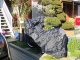 LLサイズ-1