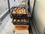 (8) 保管場所-2