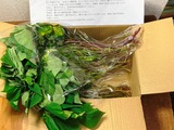 (1) 変なメモ書きが