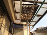 (4)保存