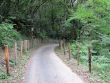ナローな道