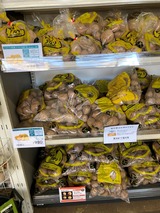 (1) CAINZ昭島店