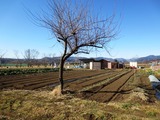farm-3