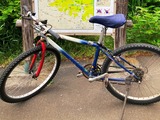 MTB