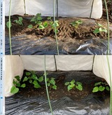 (14) 活着の確認