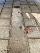 (1) タイルのシミ