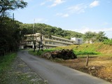 野良仕事場-7