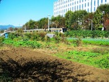 富士通 2011_10_31