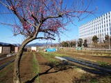 富士通 2014_03_11