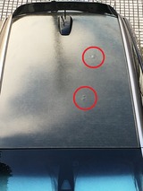 (1)全体