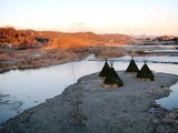 (7)多摩川