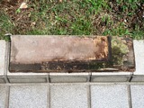 (6)合板の基礎